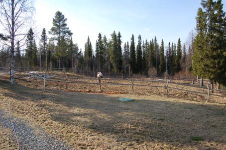 gallery_23014_4288_130449.jpg