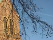 tn_gallery_23000_4282_41596.jpg