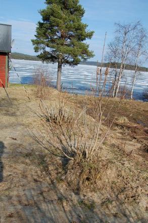 gallery_23014_4288_114694.jpg