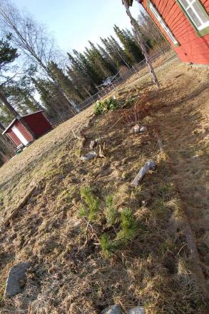 gallery_23014_4288_368638.jpg