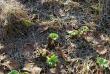 tn_gallery_23014_4288_316804.jpg