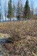 tn_gallery_23014_4288_344663.jpg