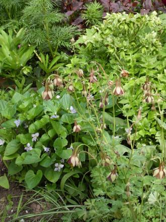 gallery_20295_3119_133017.jpg
