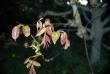 tn_gallery_30467_4308_41111.jpg