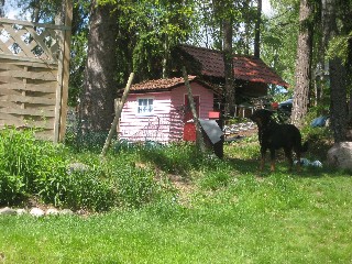 gallery_26817_4315_15653.jpg
