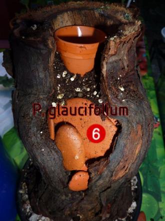 gallery_30580_4313_38182.jpg
