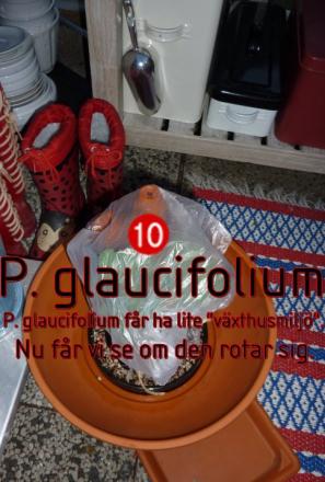 gallery_30580_4313_51159.jpg