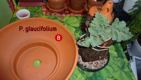 gallery_30580_4313_62671.jpg