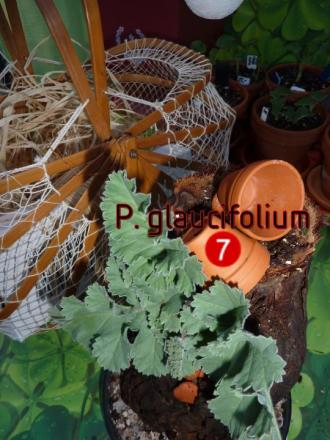 gallery_30580_4313_81310.jpg