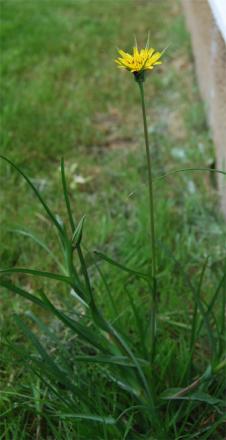 gallery_19840_4193_68603.jpg