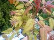 tn_gallery_9680_4322_6611.jpg
