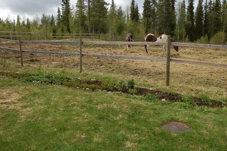 gallery_23014_4327_126863.jpg