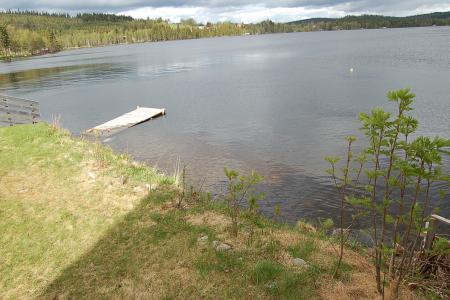 gallery_23014_4327_291735.jpg