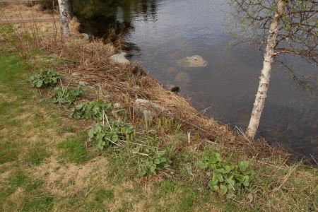 gallery_23014_4327_98020.jpg