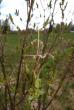 tn_gallery_23014_4327_76365.jpg