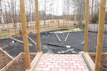 gallery_26801_4045_215614.jpg