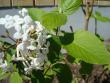 tn_gallery_5887_4333_44455.jpg
