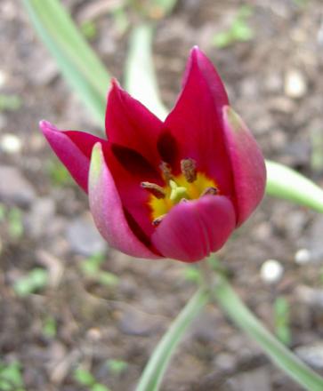 gallery_8514_4340_13955.jpg