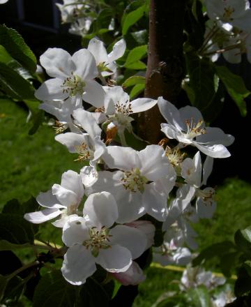 gallery_8514_4340_142304.jpg