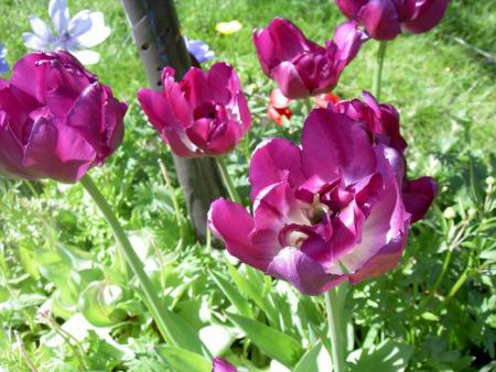 gallery_8514_4340_95043.jpg
