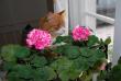 tn_gallery_9377_4348_21761.jpg