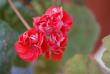 tn_gallery_9377_4348_24393.jpg