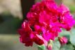 tn_gallery_9377_4348_33929.jpg