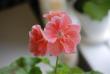 tn_gallery_9377_4348_6417.jpg