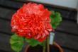 tn_gallery_9377_4348_9061.jpg