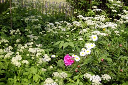 gallery_11775_4353_63750.jpg