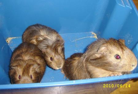 gallery_12414_4209_229672.jpg