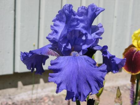 gallery_805_4339_12781.jpg