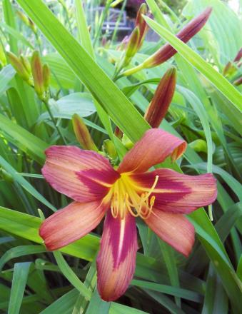 gallery_7131_1227_220436.jpg