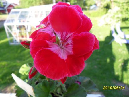 gallery_18075_2727_116682.jpg