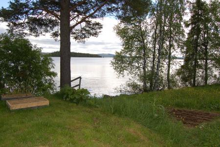 gallery_23014_4370_381299.jpg