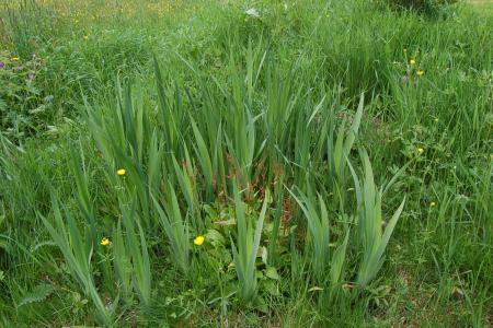 gallery_23014_4370_45322.jpg