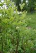 tn_gallery_23014_4370_122643.jpg