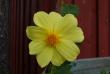 tn_gallery_23014_4370_186043.jpg