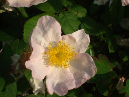 gallery_12789_2988_16880.jpg