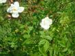 tn_gallery_12789_2988_63874.jpg