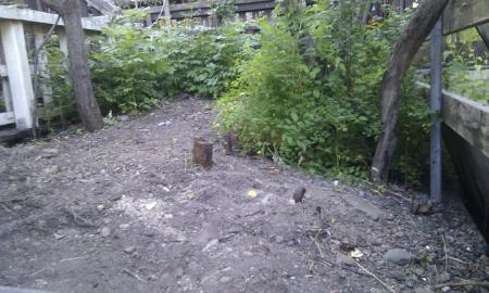 gallery_31128_4384_60201.jpg