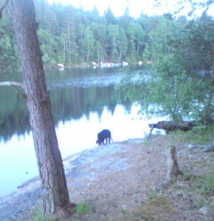 gallery_30236_4398_44923.jpg