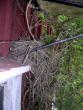 tn_gallery_2778_232_94773.jpg