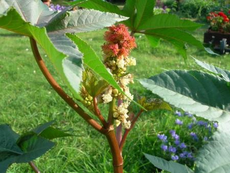 gallery_16329_4230_136059.jpg