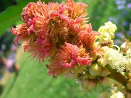 gallery_16329_4230_32365.jpg