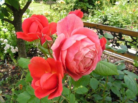 gallery_1786_2574_150622.jpg