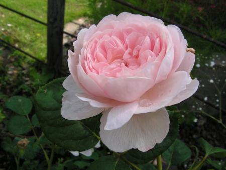 gallery_1786_2574_76662.jpg
