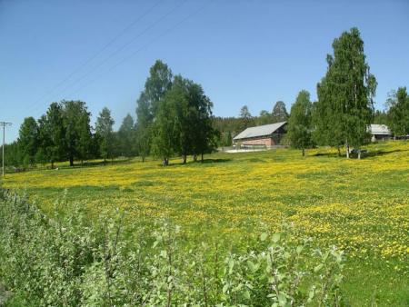 gallery_707_3253_72043.jpg