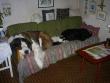 tn_gallery_9588_3336_72687.jpg