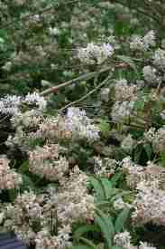 gallery_24541_3612_2364.jpg
